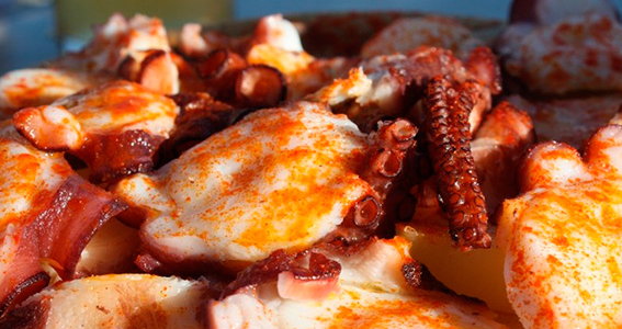 Pulpo al ajillo